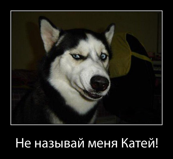 THE BIG PODCAST! #604 Не называй меня Катей! episode artwork