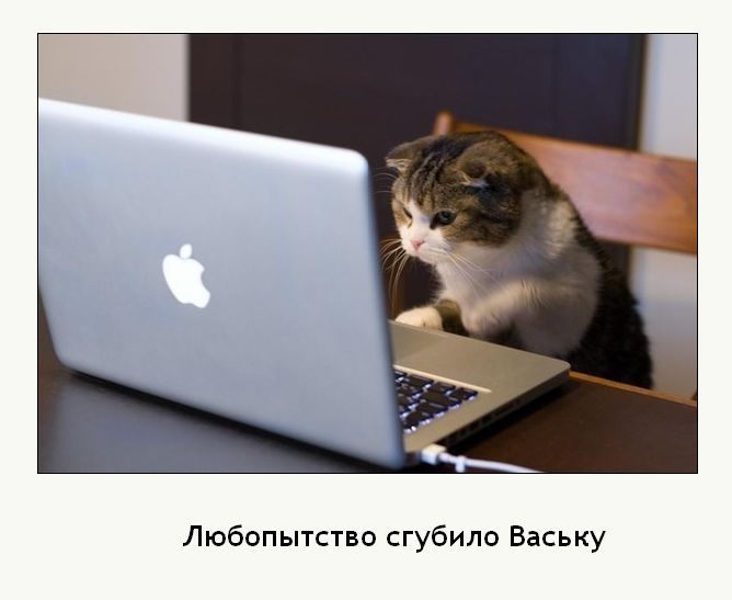 THE BIG PODCAST! #610 Эррекция и слёзы... episode artwork